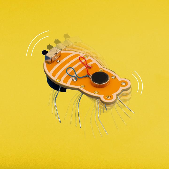 Actual product image CircuitMess Wacky Robots - Electronics Kit