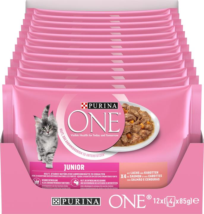 Actual product image Purina ONE Junior (Junior, 4 pcs., 85 g)