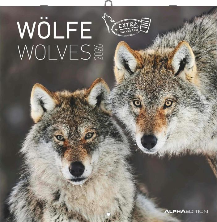 Actual product image Alpha Edition Wölfe 2026 - Broschürenkalender 30x30 cm (30x60 geöffnet) - Kalender mit Platz für Notizen - Wolves (30 x 30 cm, Hardcover, English, Dutch, German)