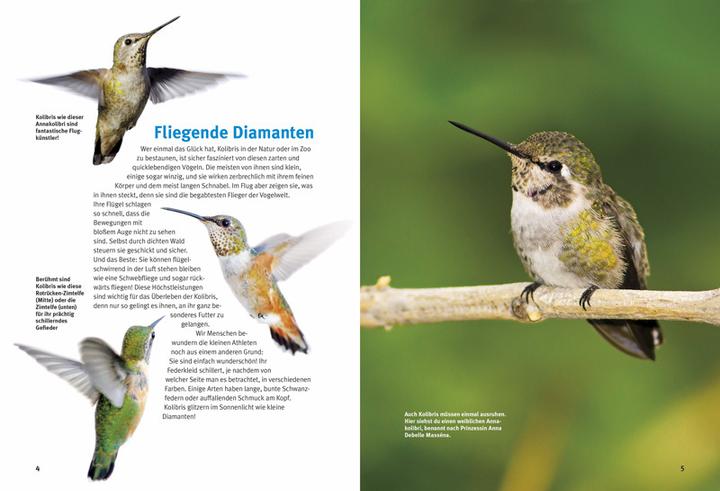 Produktbild Entdecke die Kolibris (Deutsch, Leonie Proscurcin, 2016)