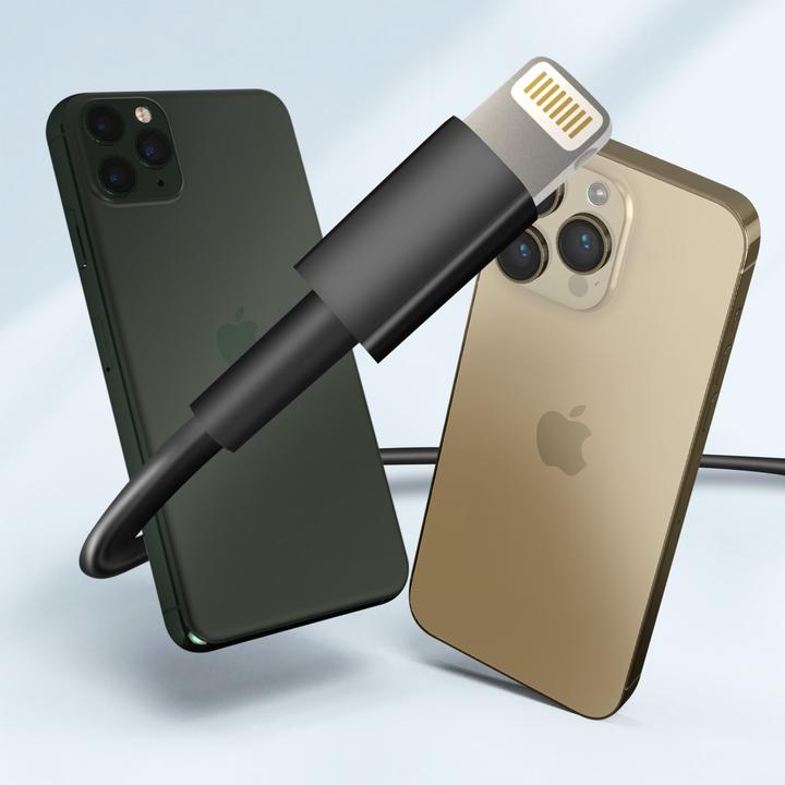 Actual product image LinQ Lightning, model V9522 (Cable)