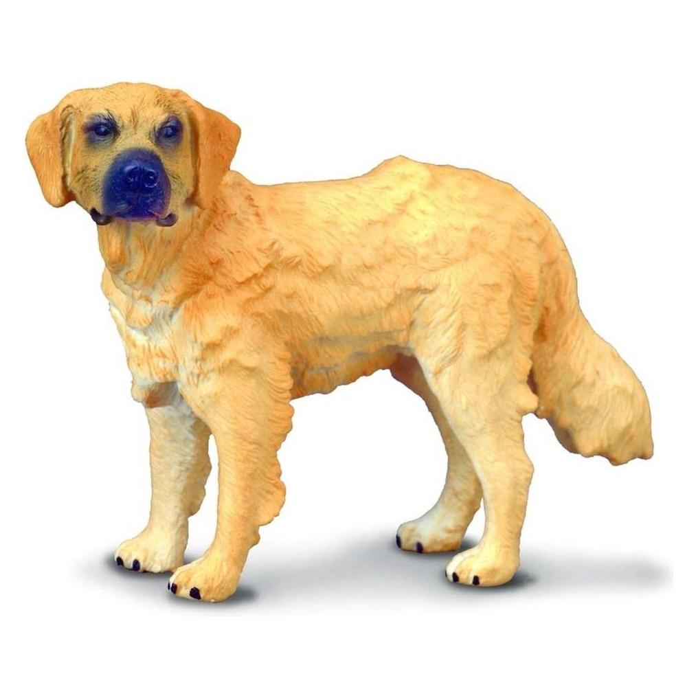 Collecta Golden Retriever (M)
