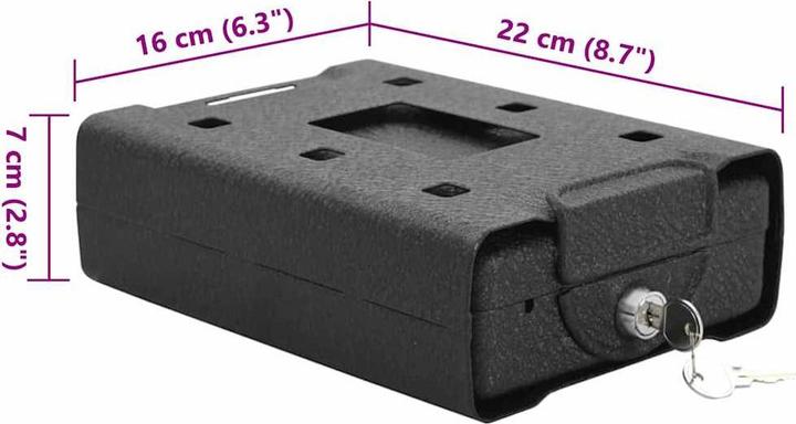 Immagine prodotto vidaXL Auto Safe