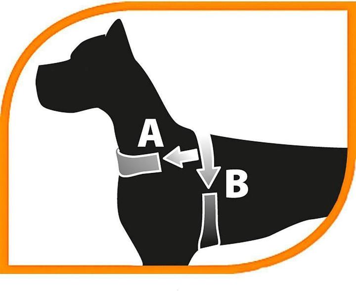 Productafbeelding Ferplast Daytona riemen zijn groot rood (L, Hond, Algemeen)
