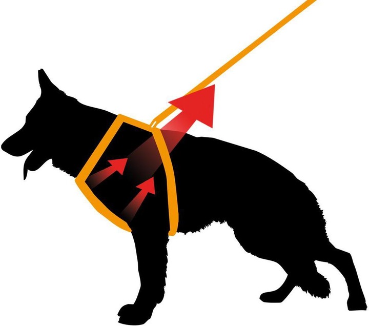Immagine prodotto Ferplast Cinture Ergocomfort P L rosso (L, Cane, Generale)