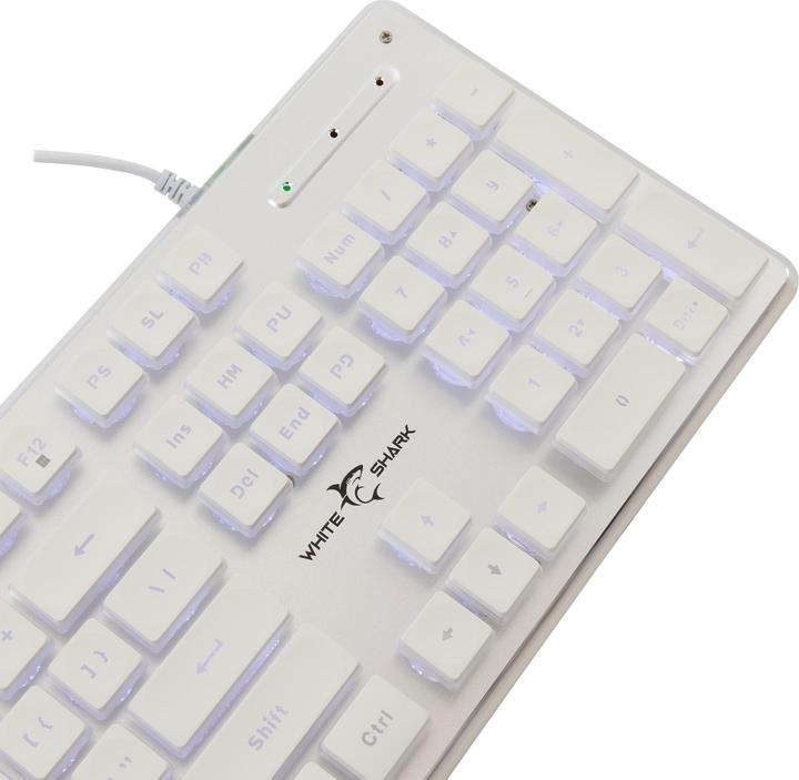 Actual product image Shark GK-003241 Tachi US (US, Cable)