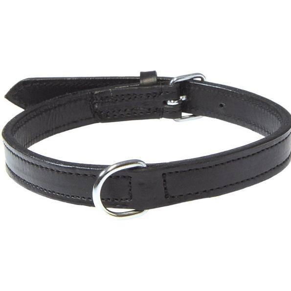 Trixie Active Halsband (XS, Hund, Hundesport), Halsband + Leine