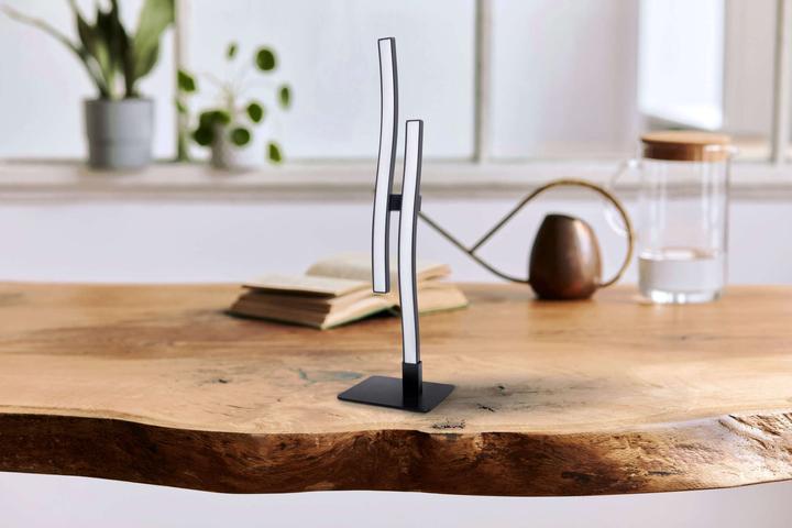 Image du produit Näve Lampe de table LED ONDA (750 lm)