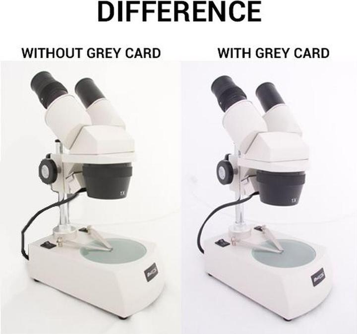 Productafbeelding Falcon Eyes Grijze kaarten 1x A5, 1x 10x15 + instructie-CD (15 cm, 21 cm)