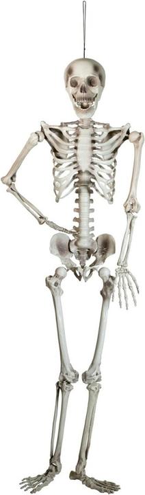 Actual product image Europalms Halloween skeleton, 150 cm