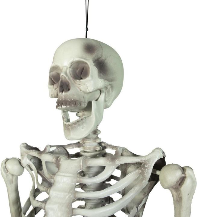 Actual product image Europalms Halloween skeleton, 150 cm