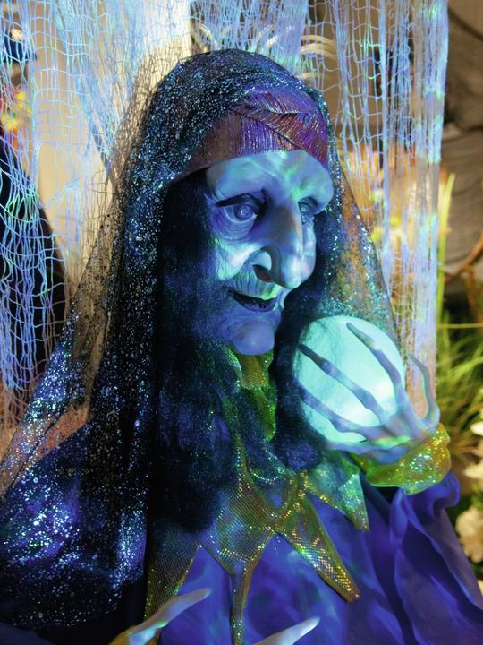 Actual product image Europalms Halloween figure fortune teller, animated 50cm