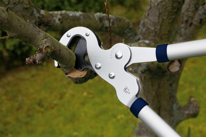 Produktbild Spear & Jackson Amboss-Astschere 8160RS (660mm)