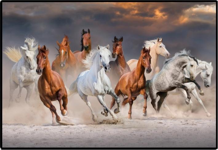 Actual product image Styro Desk pad PP 50x34 Horses (50 x 34 cm)