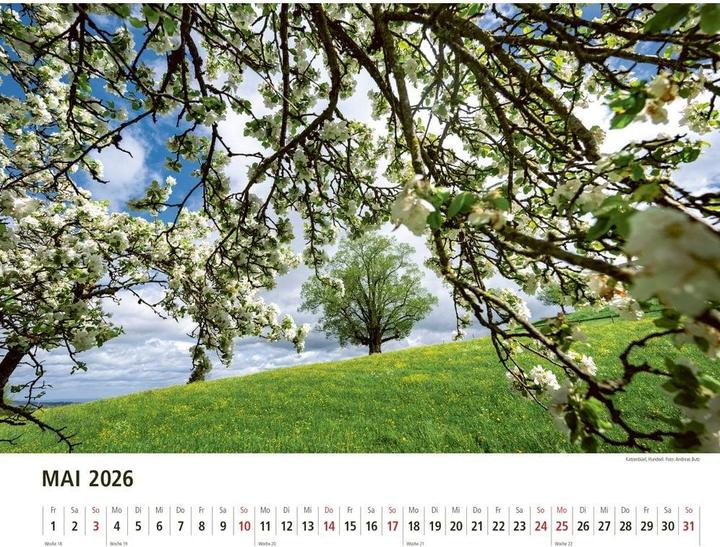 Immagine prodotto APPENZELL Bildkalender 2026 858829047 DE 40x31cm (40 x 31 cm, Copertina rigida, Tedesco)