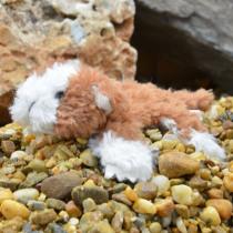 Image du produit Kögler Pillitaps cochon d'Inde sari, 8cm (8 cm)