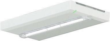 Actual product image Ceag Escape sign luminaire