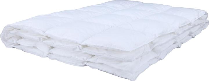 Image du produit Albis Duvet mit Arvenholzspänen 240 x 240 cm, Eigenschaften (980 g, 240 x 240 cm)