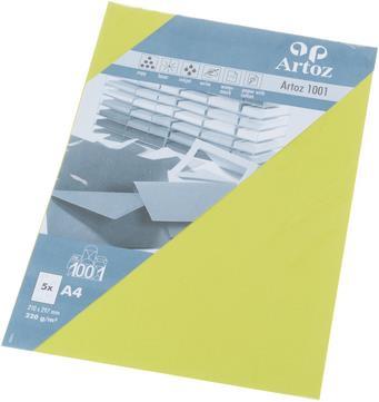 Actual product image Artoz 1001 A4 220g lime 5 boxes (220 g/m², 5 x)