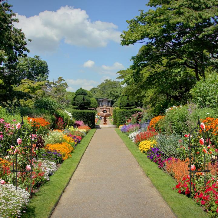 Actual product image Relaxdays 2x climbing aid (20 cm, 20 cm)