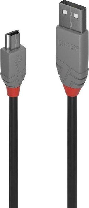 Actual product image Lindy USB A – USB Mini B (3 m, USB 2.0)