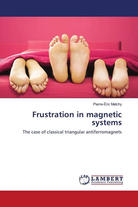 Produktbild Frustration in magnetic systems (Pierre-Éric Melchy, 2011)