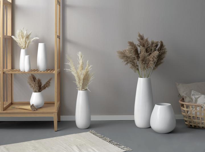 Produktbild ASA Selection natur (Pampasgras, 6x)