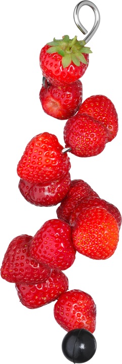 Immagine prodotto WMF Spiedini di frutta