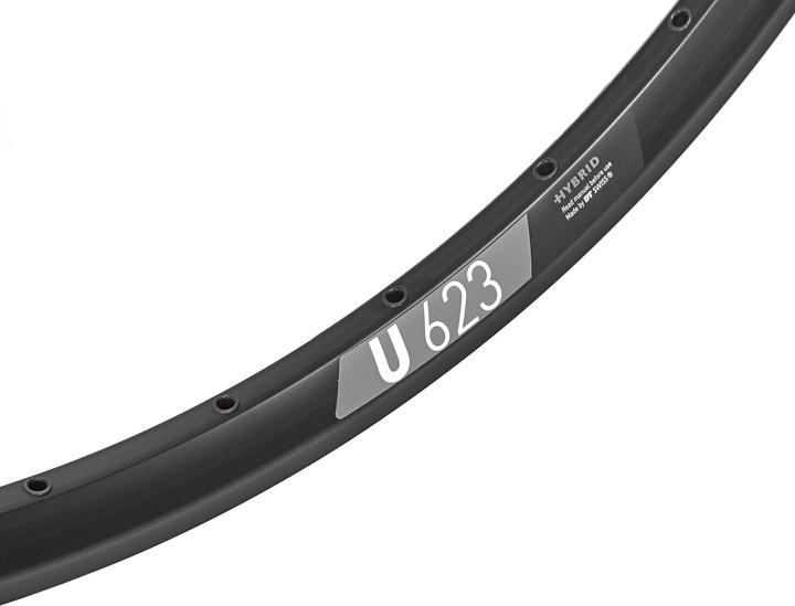 Immagine prodotto DT Swiss U 623 29" (29")