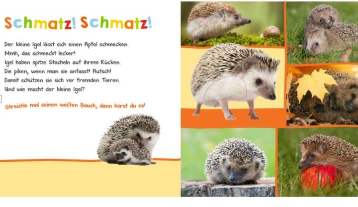Produktbild Hör mal rein, wer kann das sein? Auf der Weide (Deutsch)