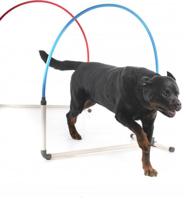 Image du produit Petcenter Agility Hooper | 1 pièce (Taille unique, Agility)