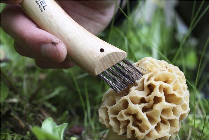Produktbild Opinel Pilzmesser (8.08 cm)