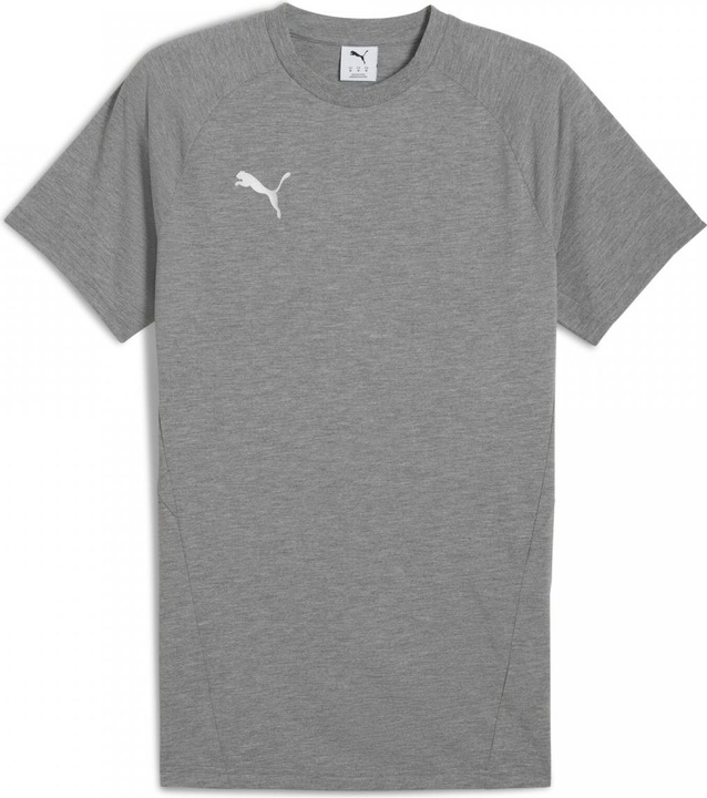Actual product image Puma teamEVOSTRIPE Tee (S)