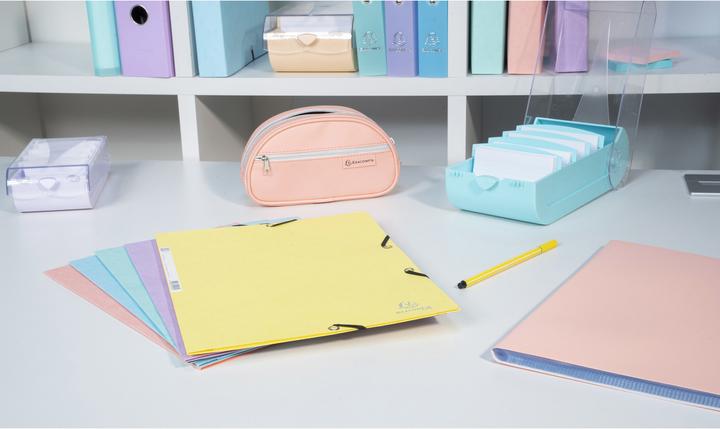 Actual product image Exacompta Card index box hinged lid (A8)