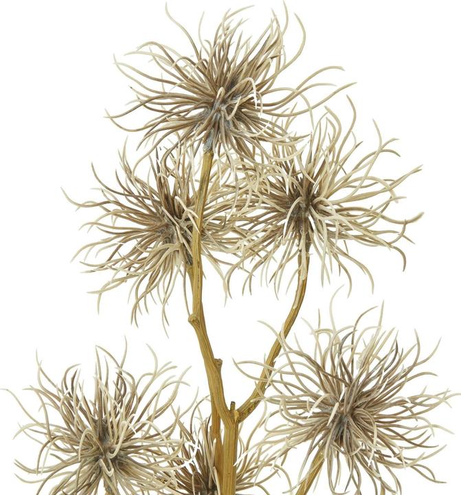 Immagine prodotto Hill Interiors Xanthium Spray Fiore Artificiale (81 cm)