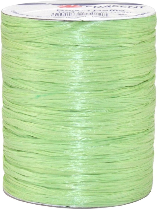 Image du produit Pattberg Ruban de raphia Rayon (Ruban, 1 x)