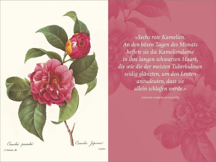 Produktbild Die Blumen der Frauen (Deutsch, Andreas Honegger, 2014)