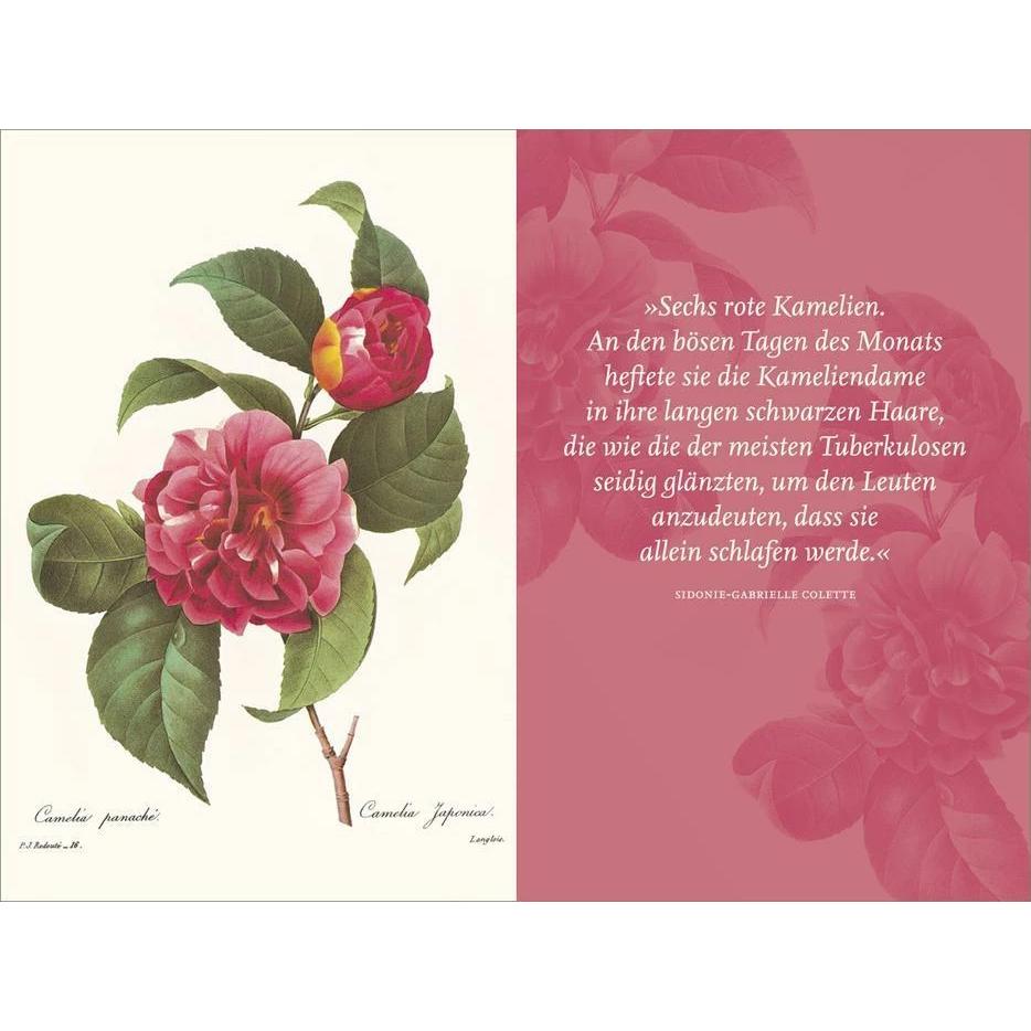 Thumbnail - Die Blumen der Frauen, Belletristik von Andreas Honegger