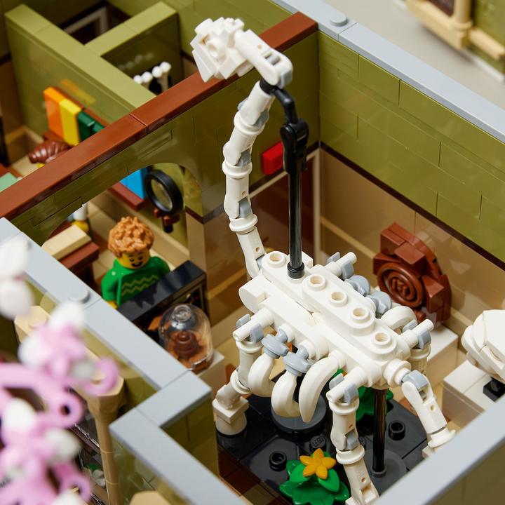 Productafbeelding LEGO Natuurhistorisch Museum (10326, LEGO Icons)