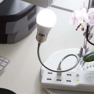 Image du produit LogiLink USB LED Lampe