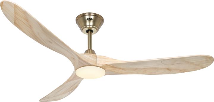 Laiton brossé, Nature