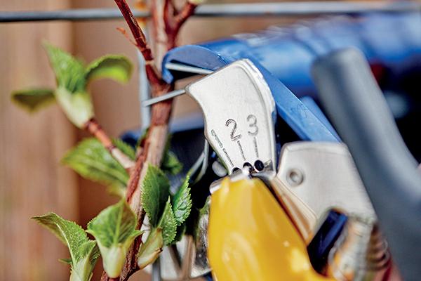 Image du produit Rapid GP238 Pince à lier (160 mm)