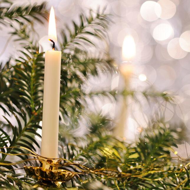 Actual product image Balthasar Tree candles (20 pcs.)