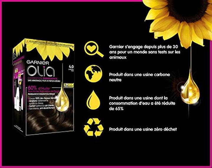 Produktbild Garnier Permanent color without ammonia 4.0 Pure Chestnut (4.0 Pure Kastanie)