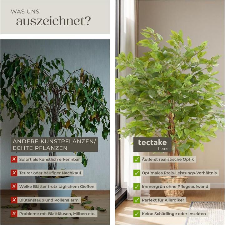 Immagine prodotto tectake Albero di ficus Fida (120 cm)