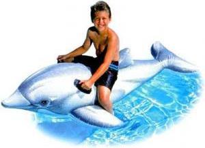 Produktbild Intex Lil' Dolphin Ride-On