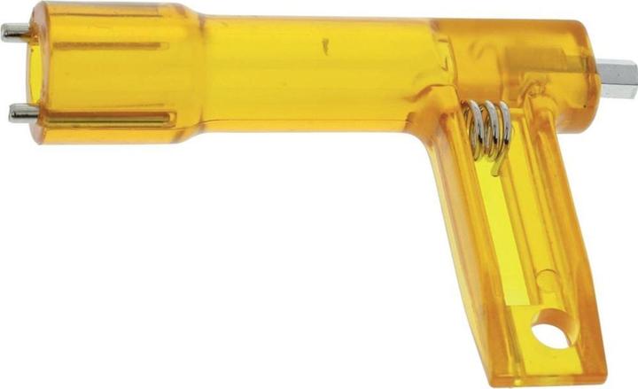 Magni Chiave per la luce del sito