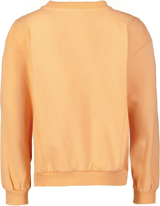 Image du produit Garcia Pull Playground (104, 106, 110, 105 A)