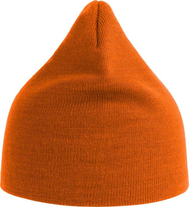 Actual product image Unisex Adult Holly Baseball Cap (One size)