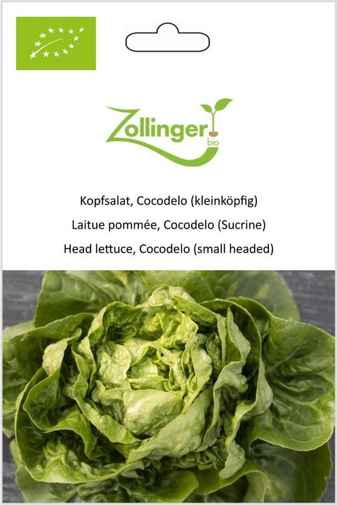 Image du produit Zollinger Bio Laitue pommée, Cocodelo (petite tête) (Germes)